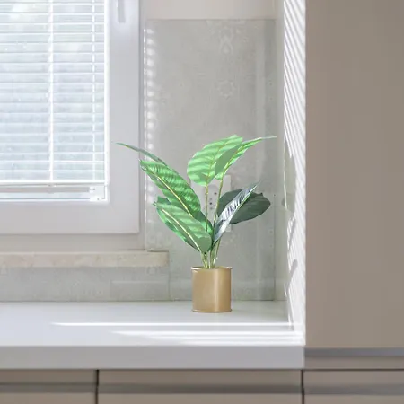 Apartment Przy Agorze 5 By Nyx